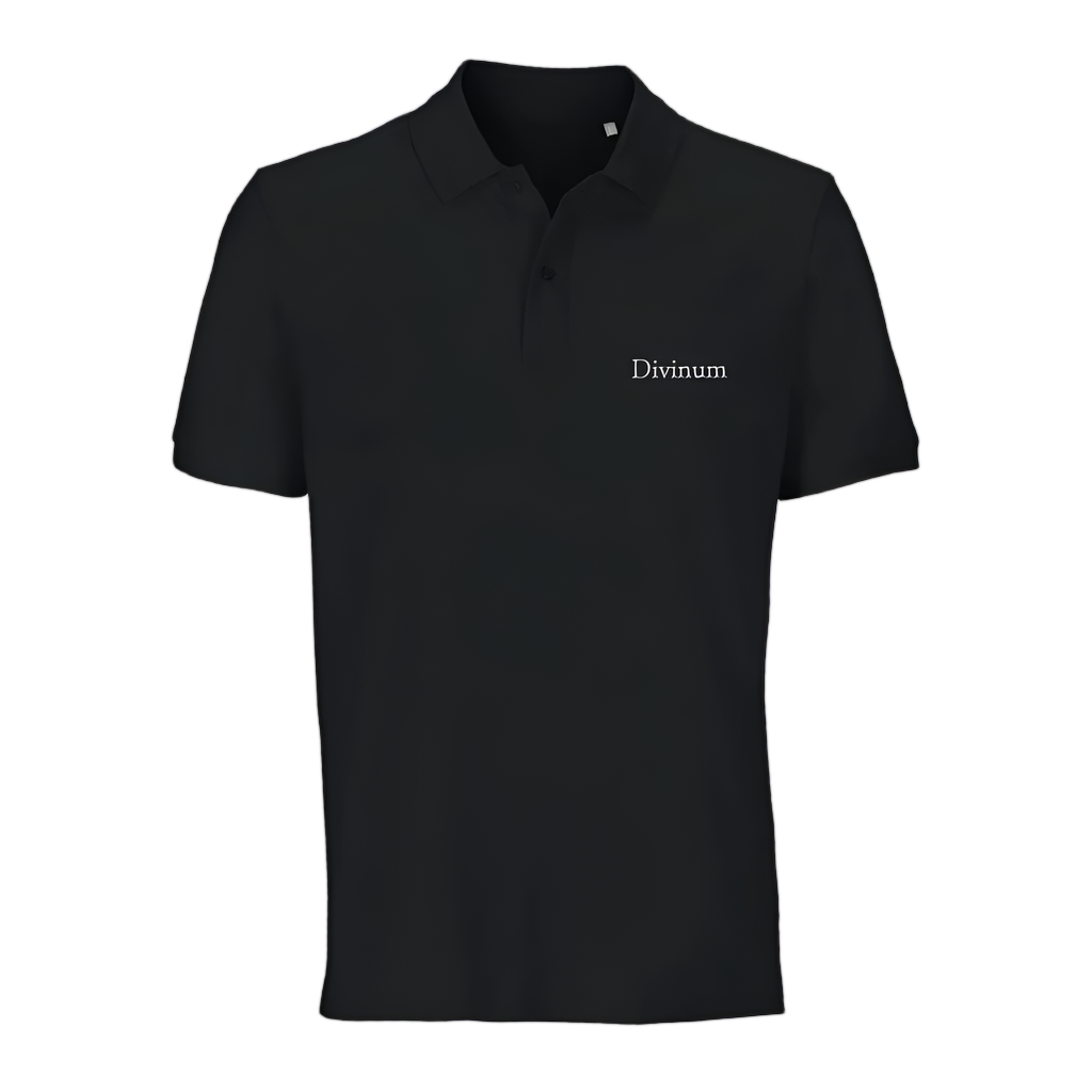 Classic Embroidery Polo Shirt
