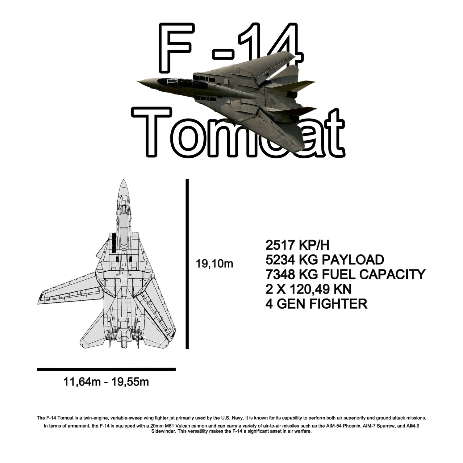 F-14 Tomcat